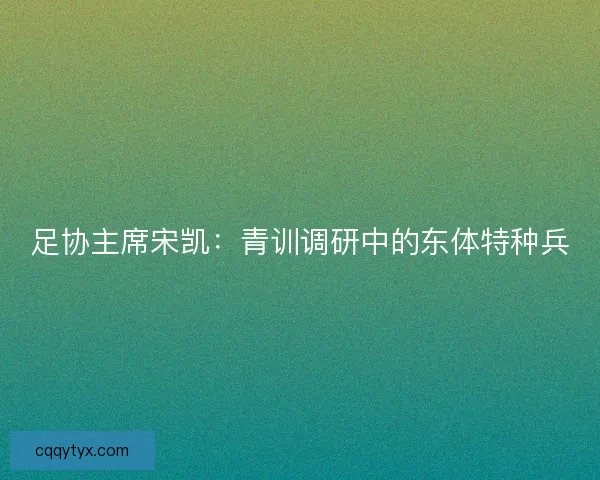 足协主席宋凯：青训调研中的东体特种兵
