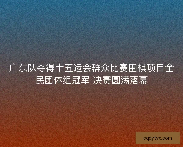 广东队夺得十五运会群众比赛围棋项目全民团体组冠军 决赛圆满落幕