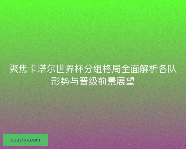 聚焦卡塔尔世界杯分组格局全面解析各队形势与晋级前景展望