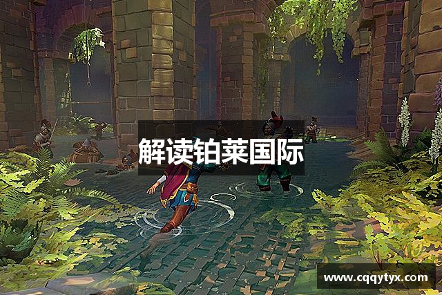 解读铂莱国际